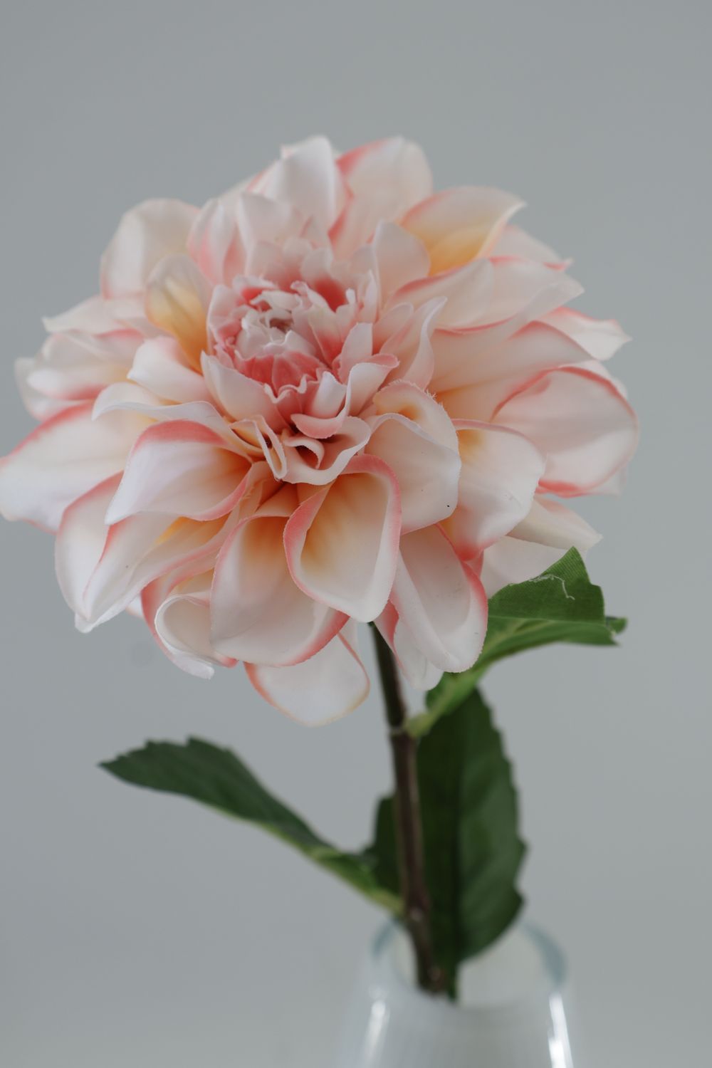 Dahlia Stem  Real-Touch