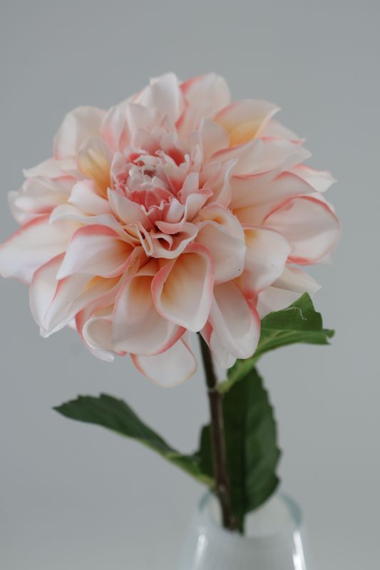 Dahlia Stem  Real-Touch