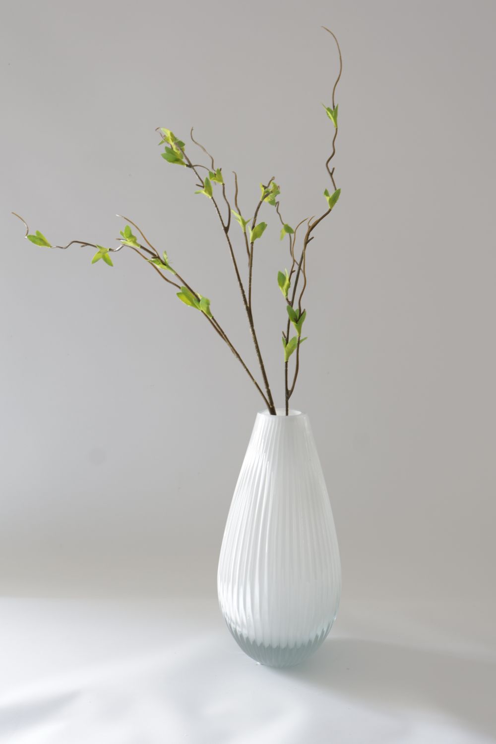 Green Plant Horse Drunk Wood Leaves