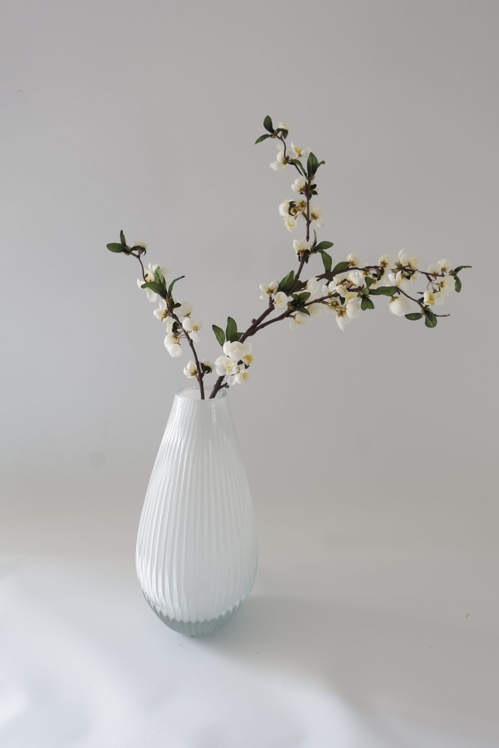 Cherry Blossom Branches