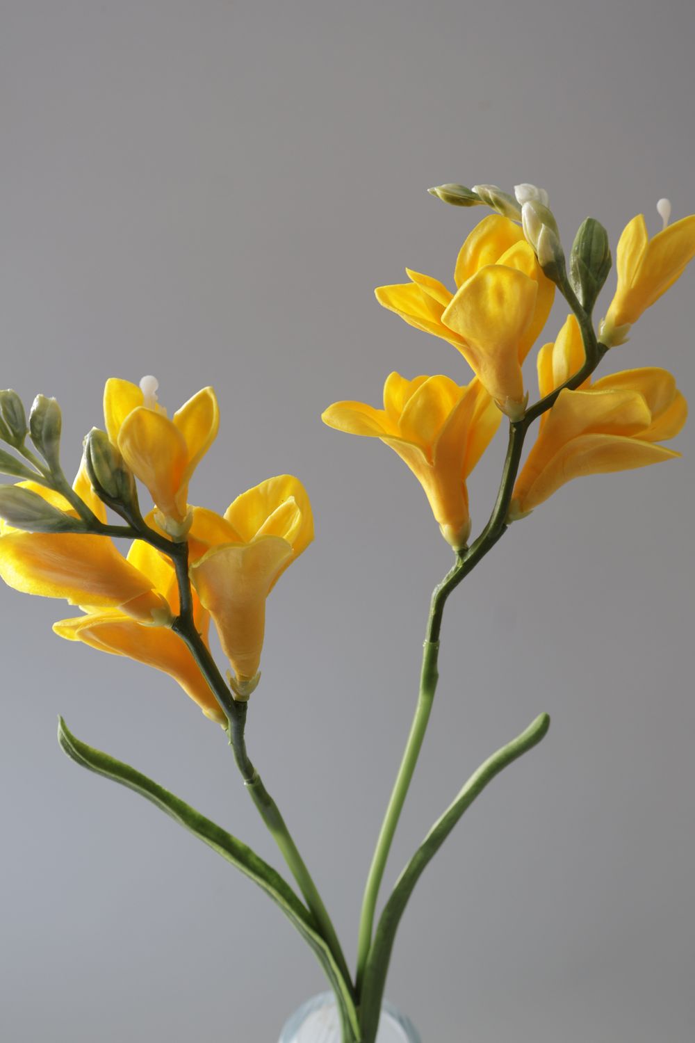 Freesia Real Touch Flower