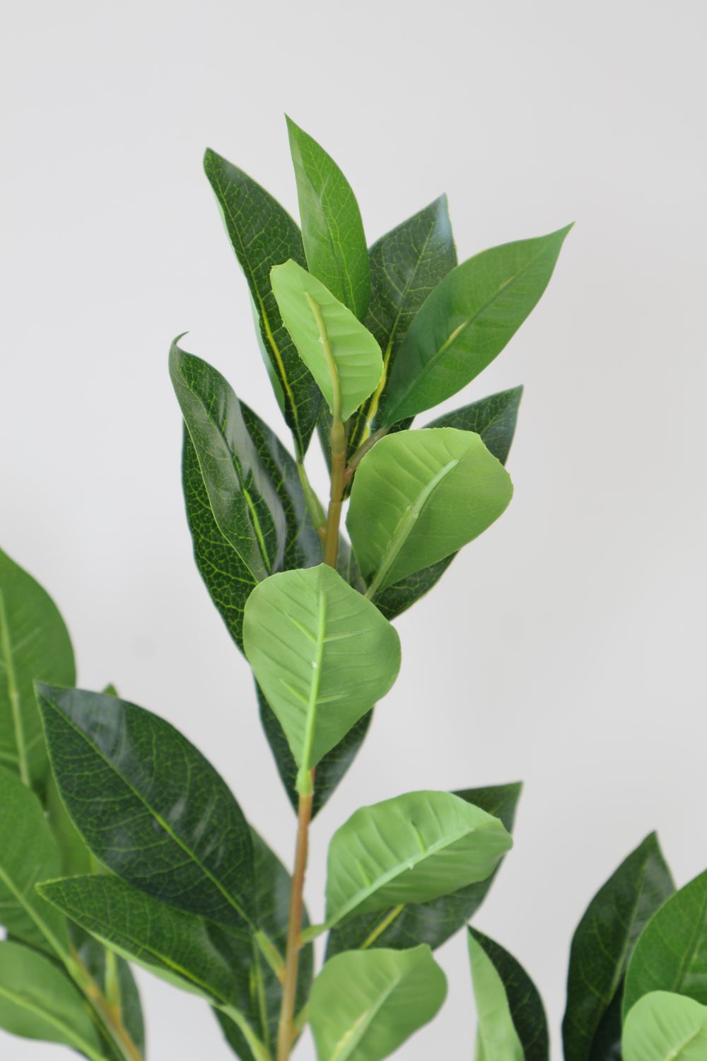 Greenery  Long Stem  Filler Leaves