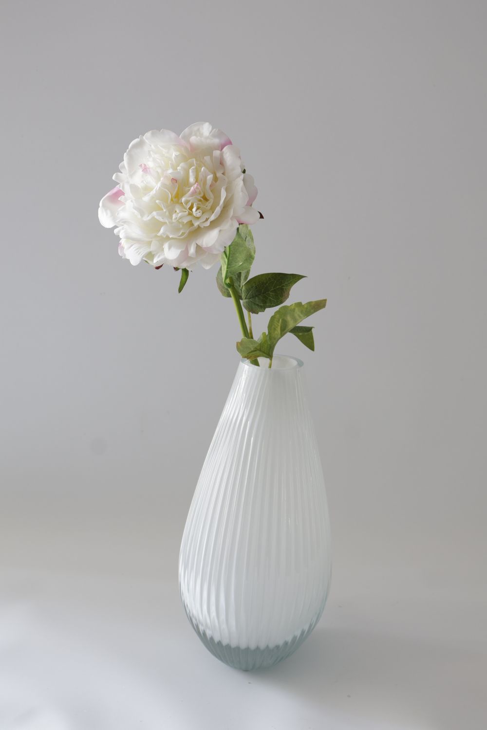 Peony Real-Touch