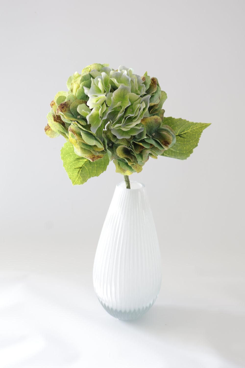 High Quality Vintage Hydrangea