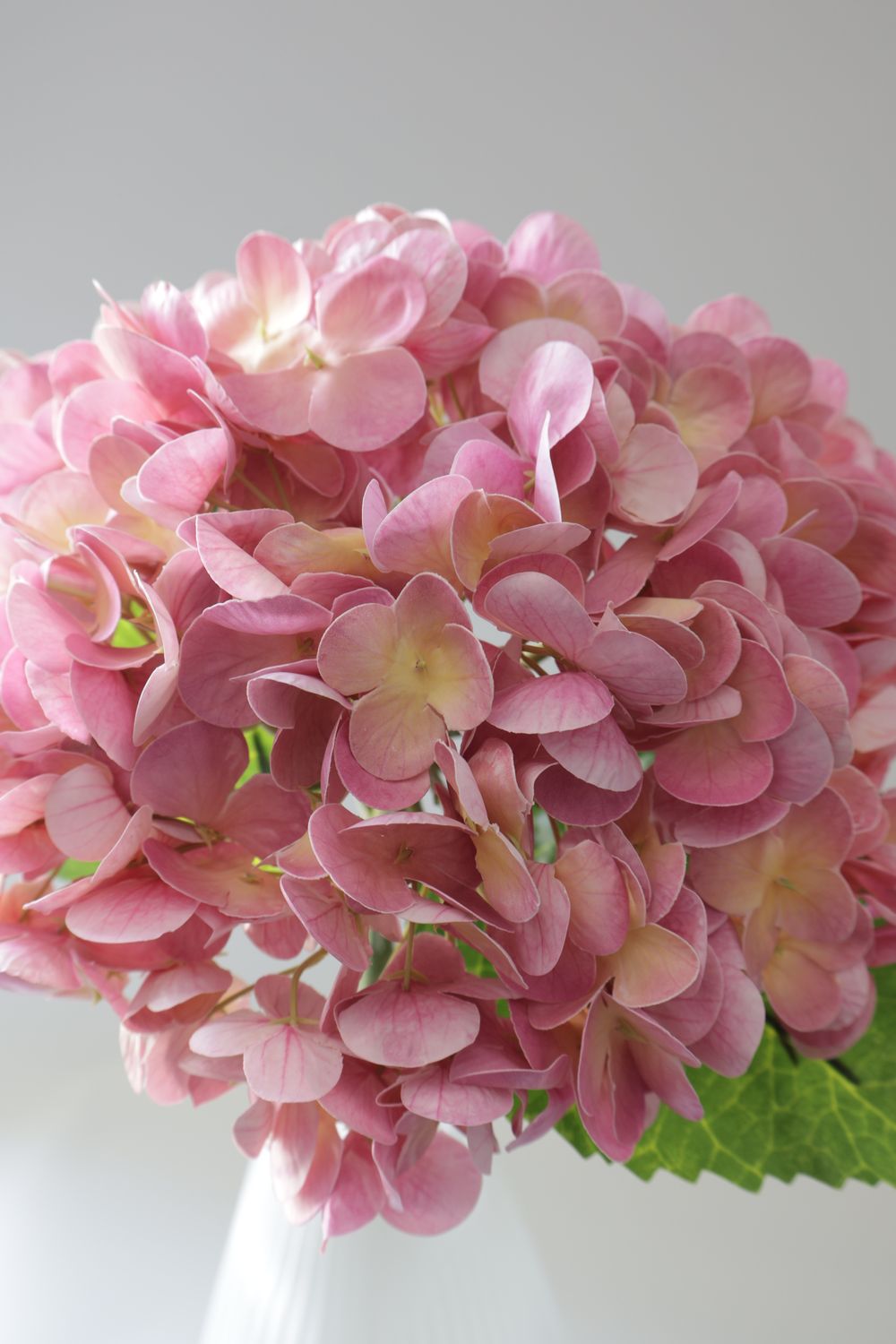 Hydrangea High Quality Real Touch