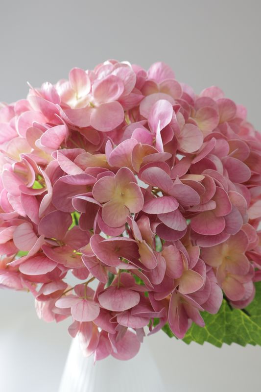 Hydrangea High Quality Real Touch