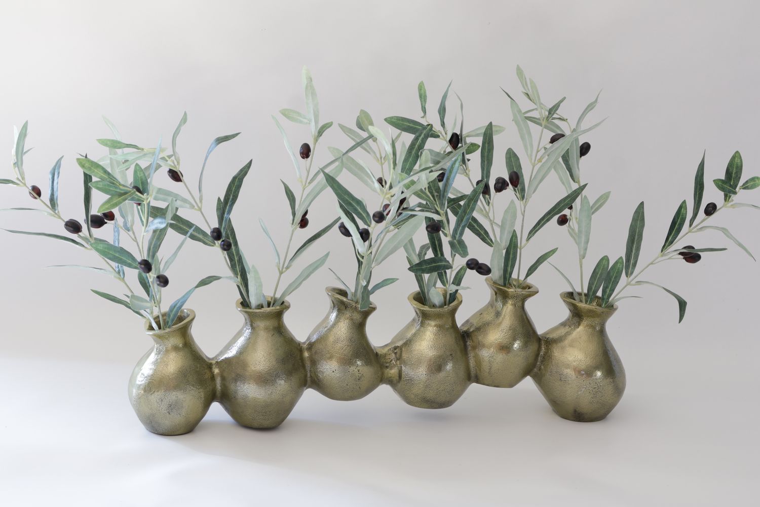 The EverBloom Tuscan Olive