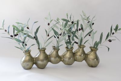 The EverBloom Tuscan Olive