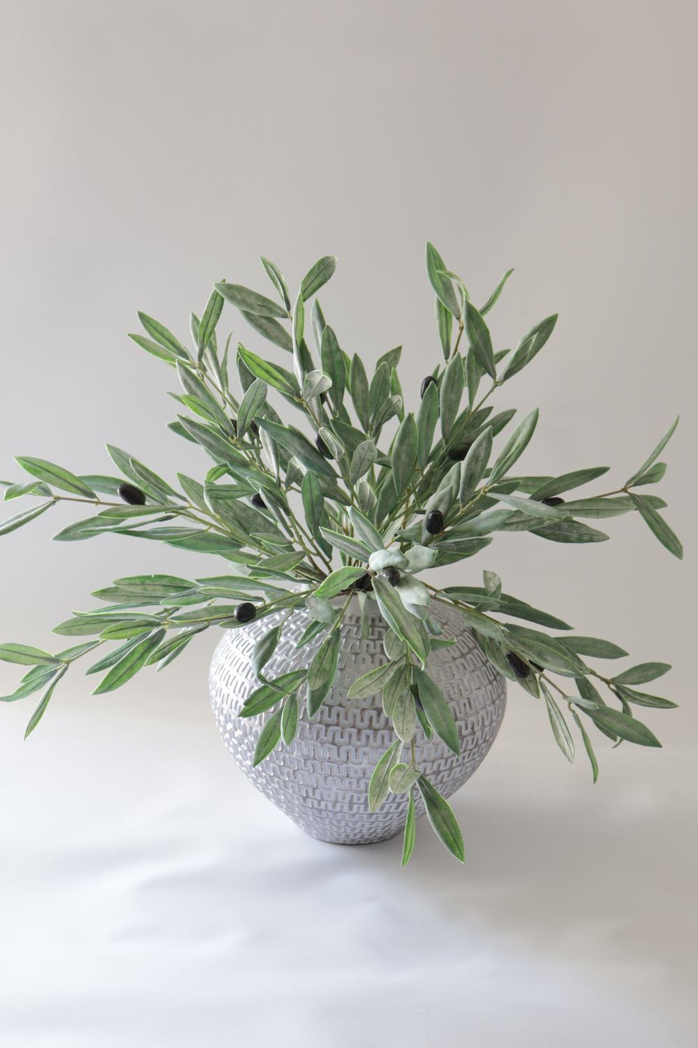 The EverBloom Olive Grove