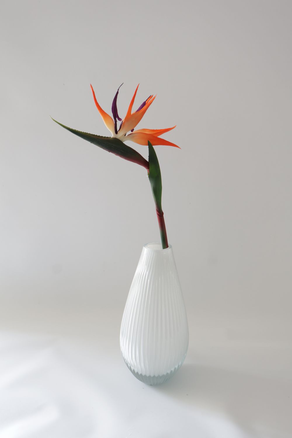 Strelitzia Reginae Aiton Real Touch Artificial