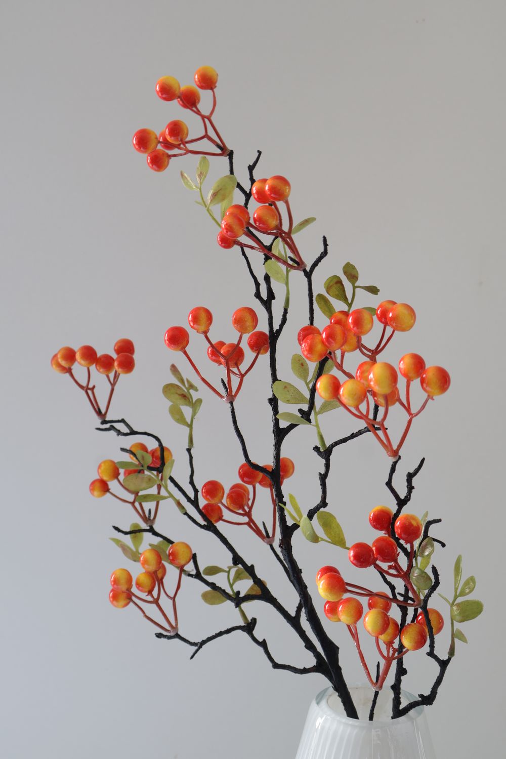 Persimmon Bruit Branch