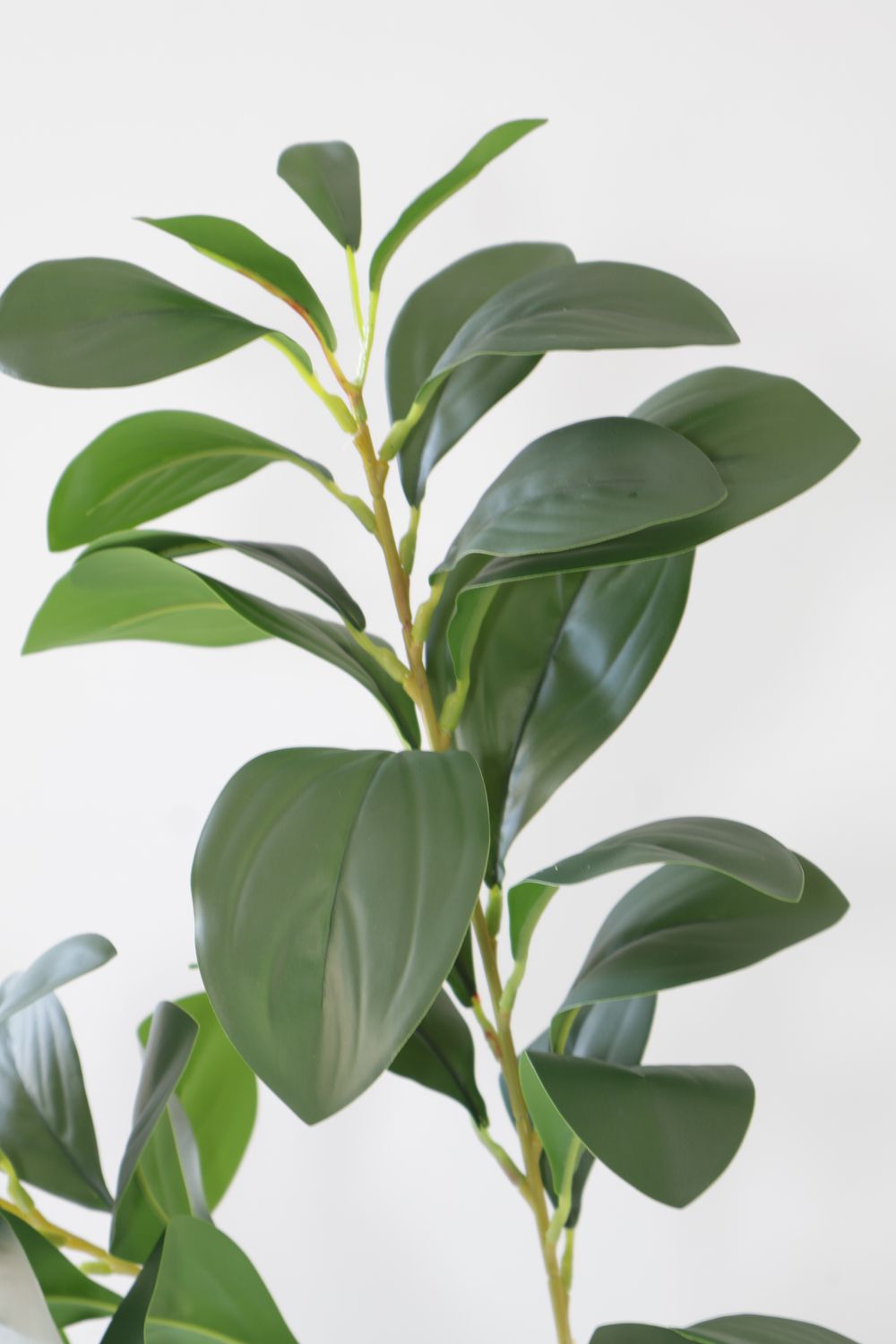 Greenery Broad Leaf Real-Touch