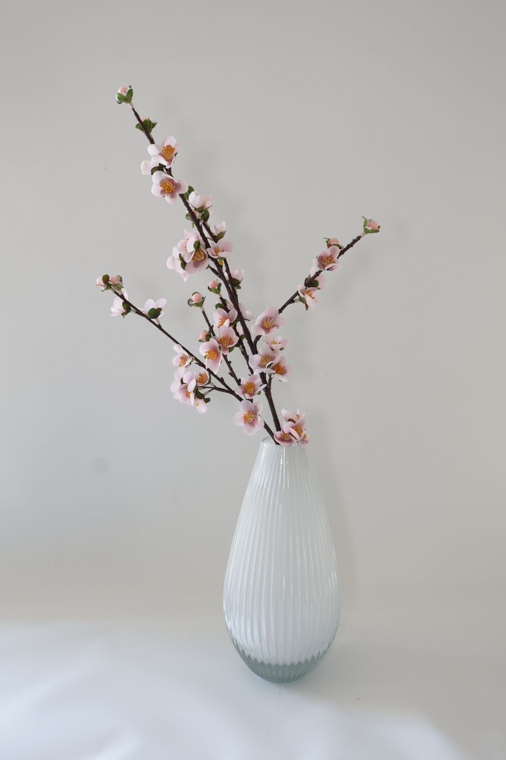 Cherry Blossom Plum Blossom