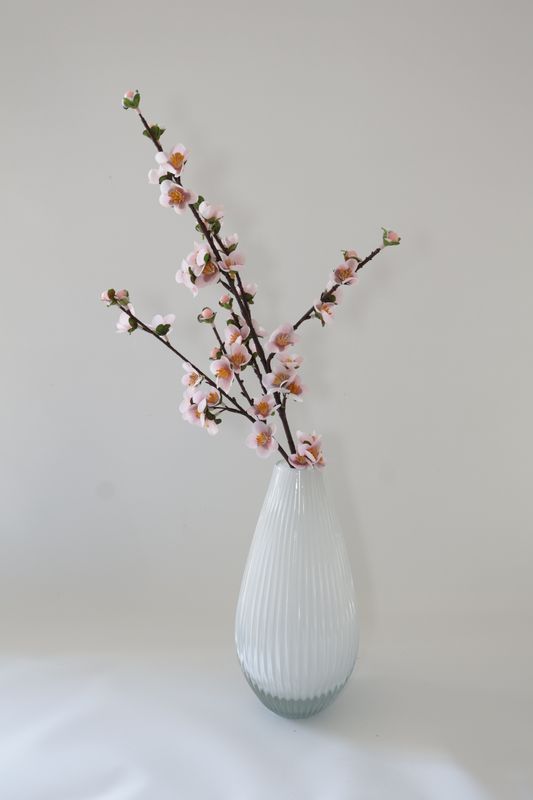 Cherry Blossom Plum Blossom