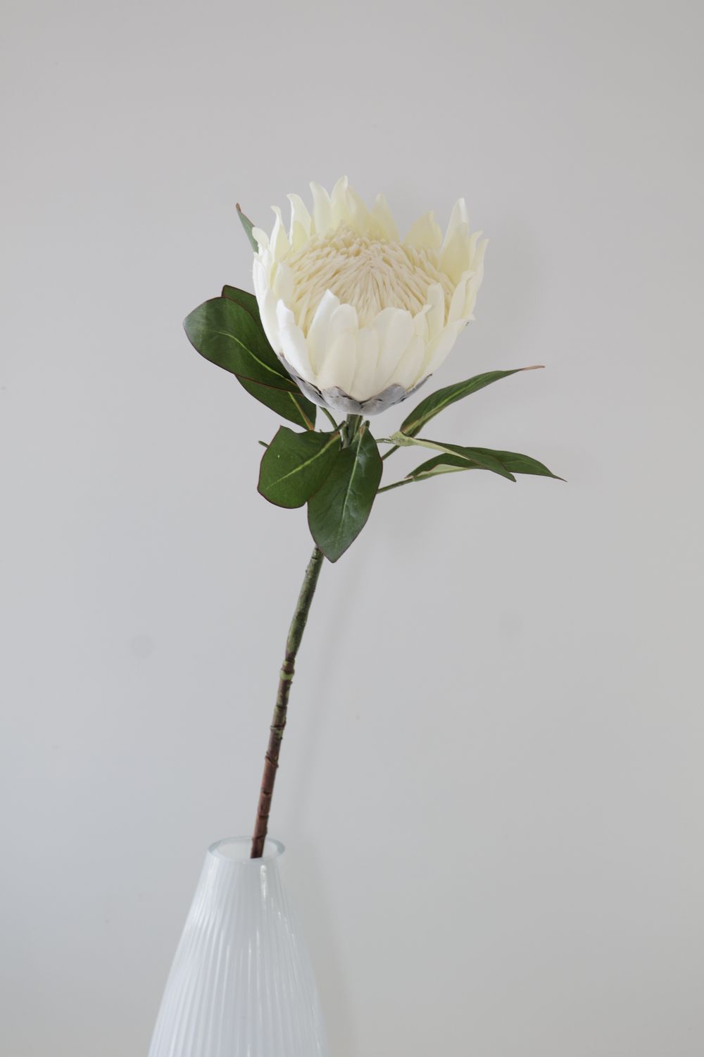 King Protea Flower Real Touch