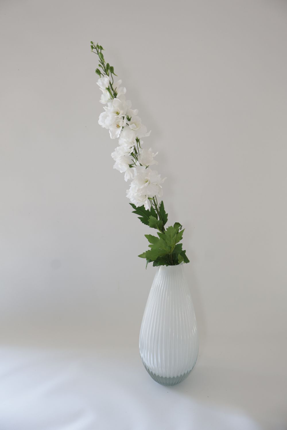 Delphinium Stem