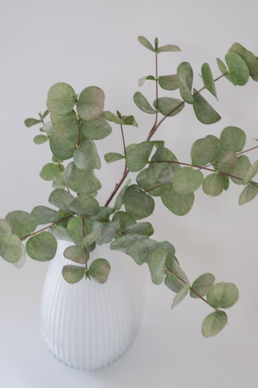 Eucalyptus Branch Moisturized Top Coat Finish
