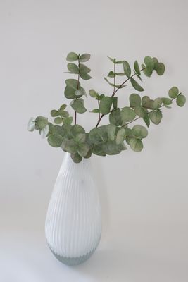 Eucalyptus Branch (Real Touch Artificial Greenery)