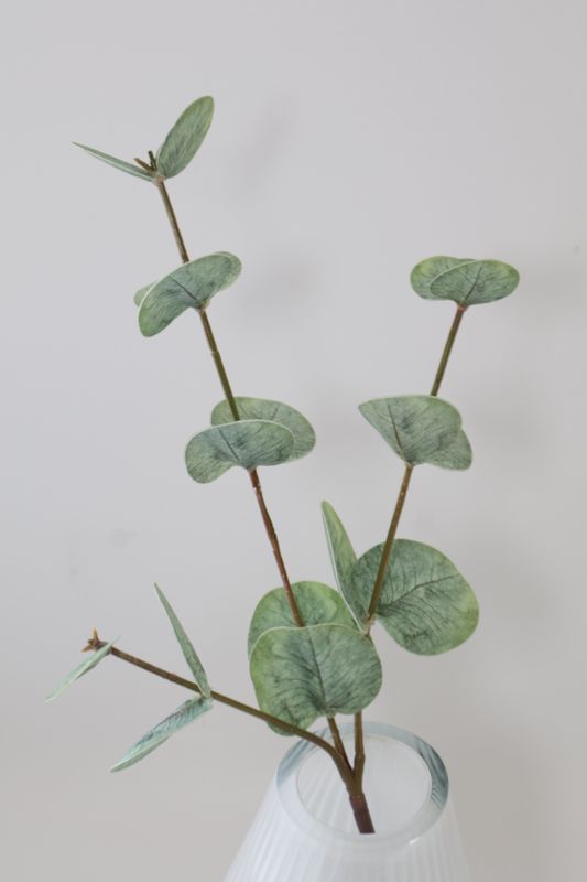 Eucalyptus Stem Silver-Dollar-Style Real Touch