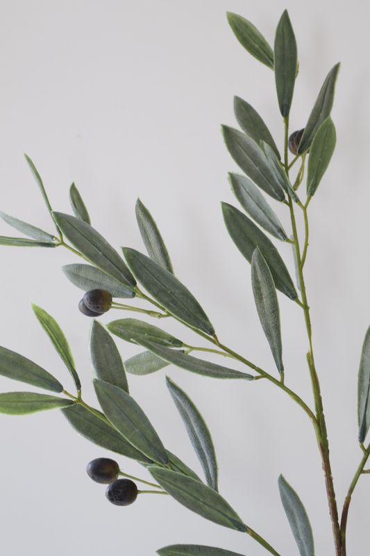 Olive with fruit Branch Real Touch - Short Stem