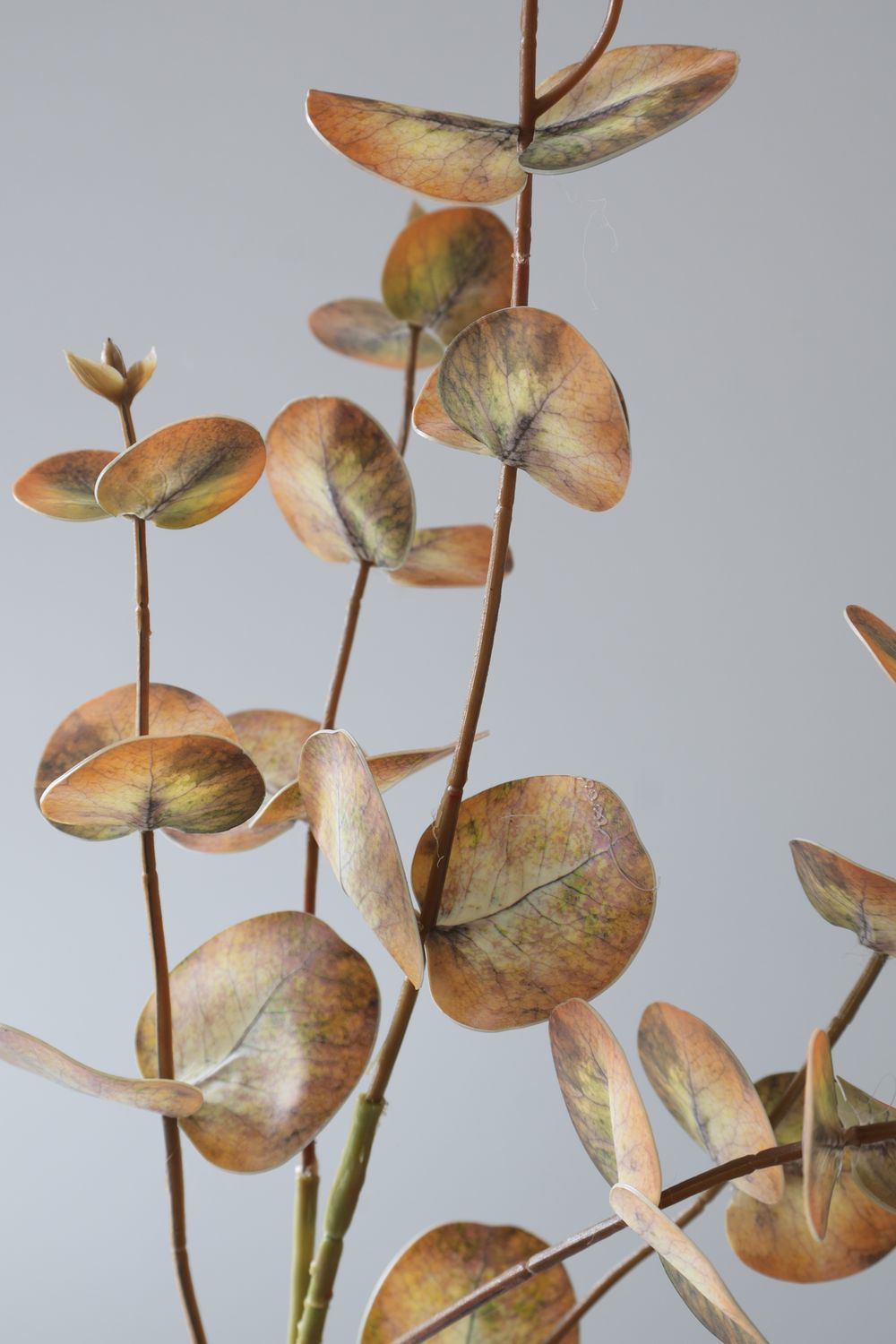 Eucalyptus Stem Silver Dollar style Real Touch
