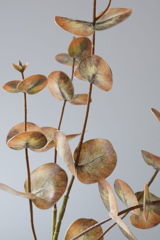 Eucalyptus Stem Silver Dollar style Real Touch