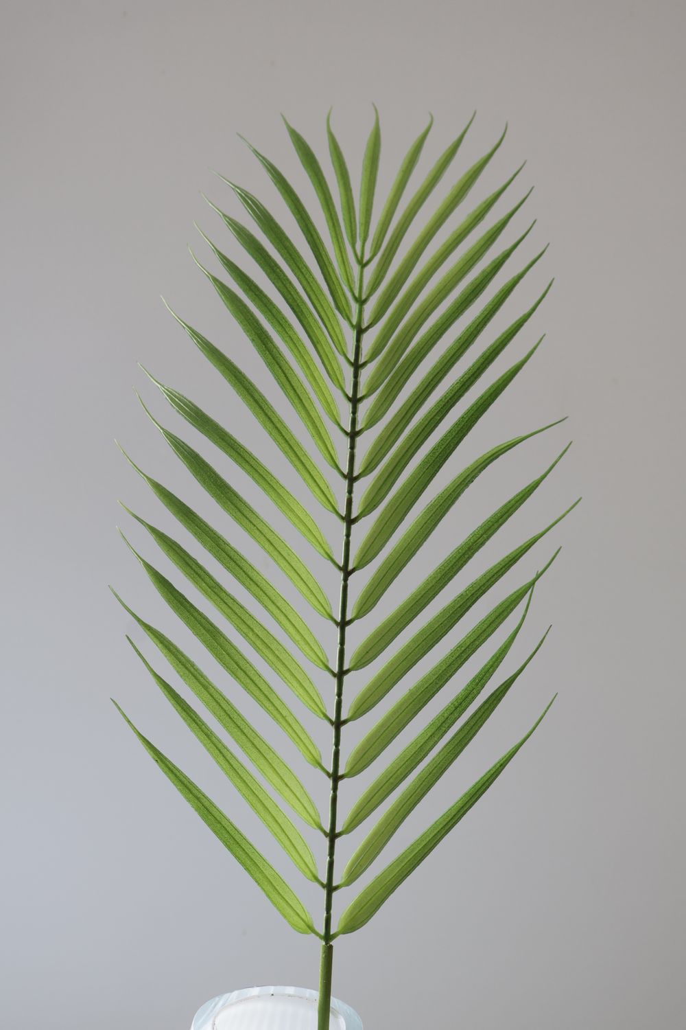 Pinnate Palm Branch Real Touch