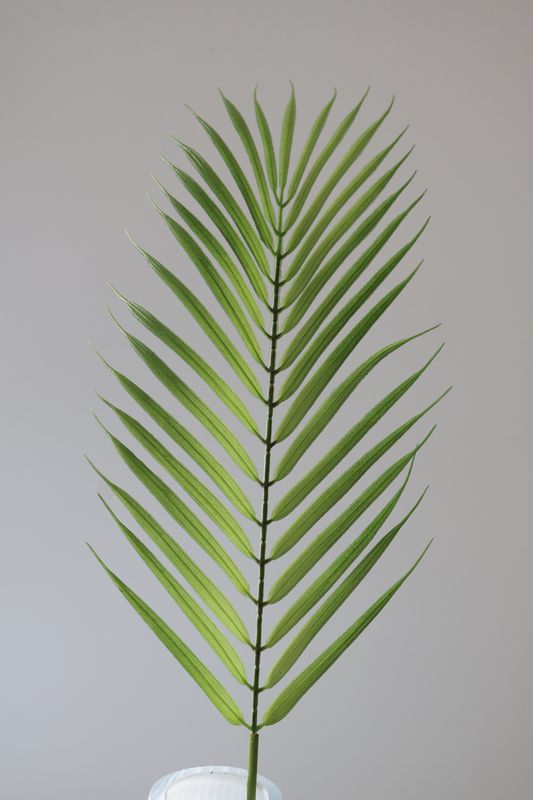 Pinnate Palm Branch Real Touch