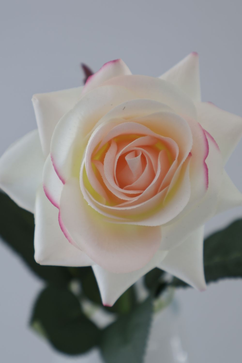 Rose Silk with Real Touch Coating - Wholesale Stock