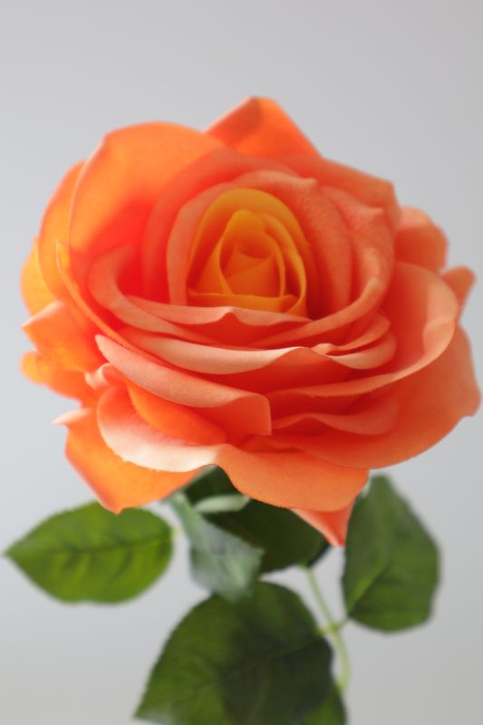 Rose Real Touch - Relaxed Look