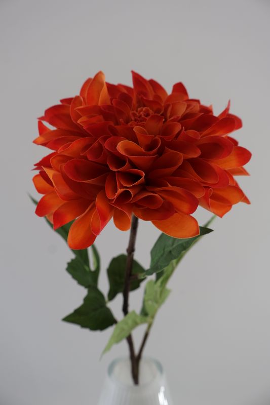Dahlia Real Touch
