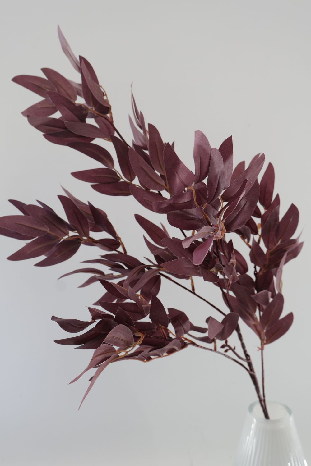 Italian Ruscus Greenery Stem