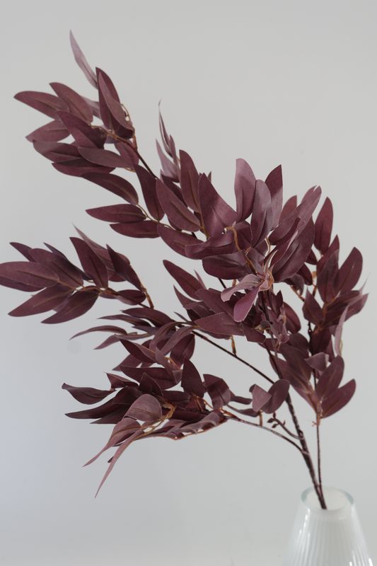 Italian Ruscus Greenery Stem