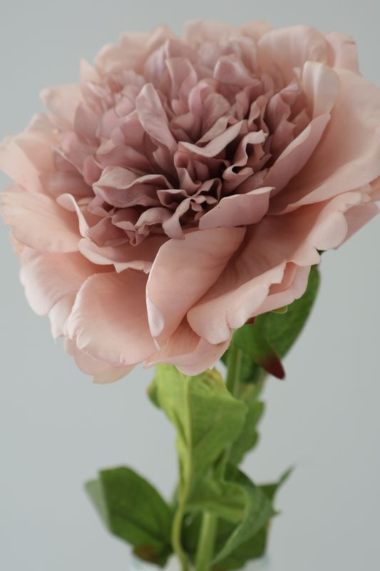 Peony Stem Real Touch
