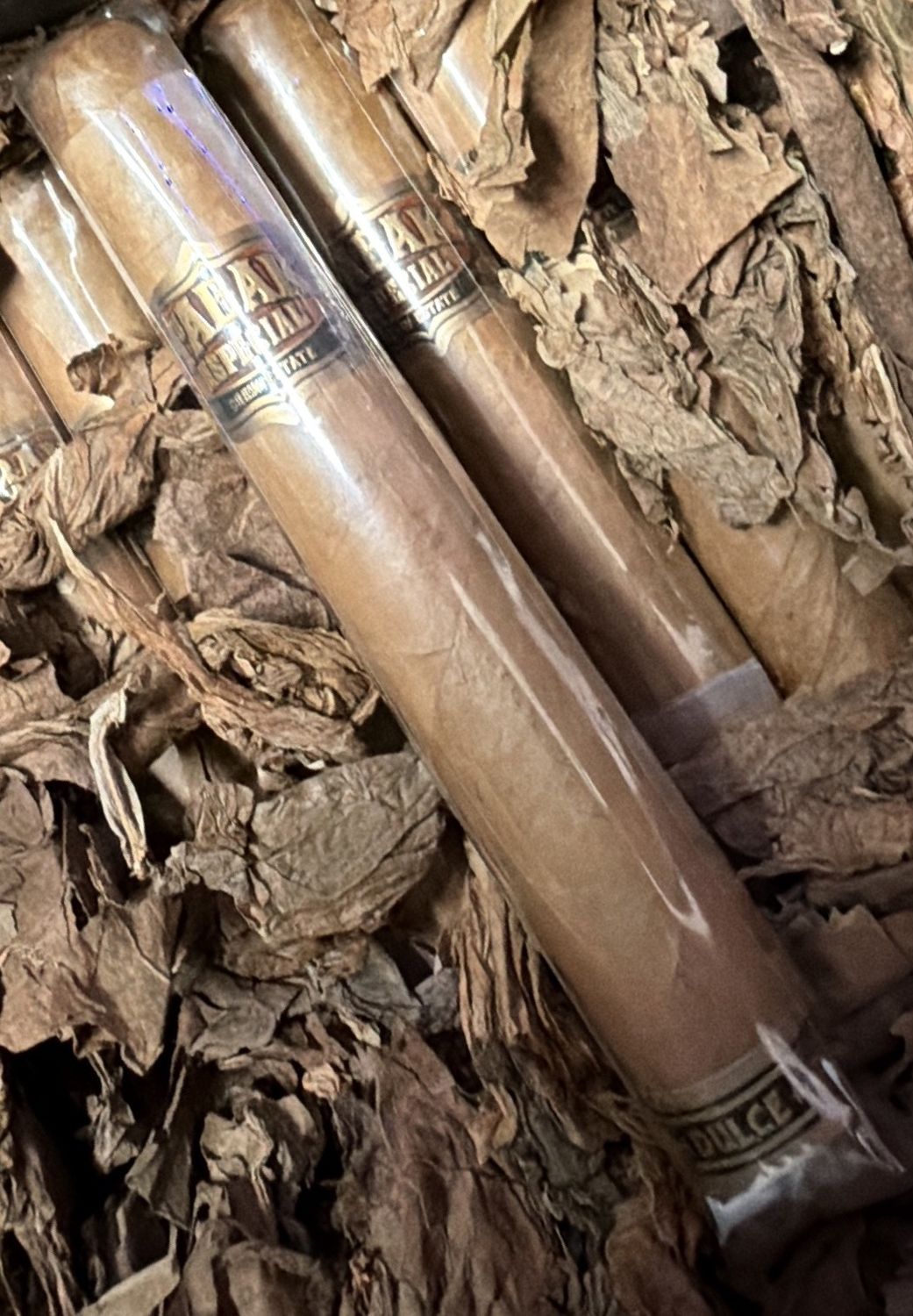 TABAK TORO DULCE