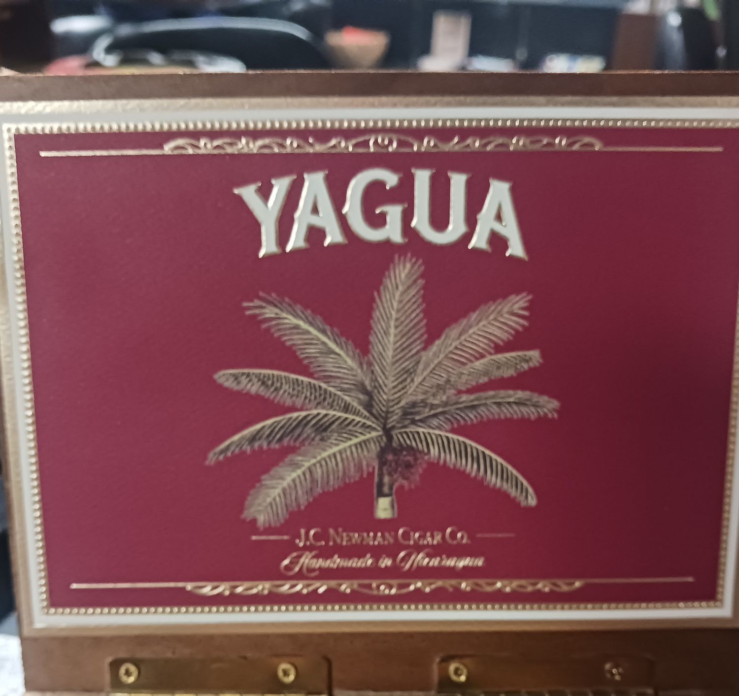 YAGUA ROBUSTO