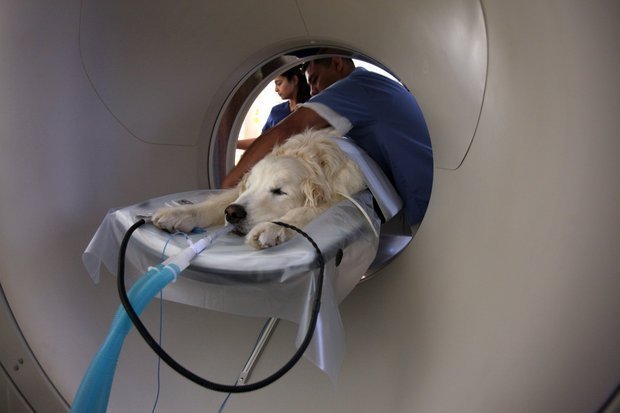 Himachal MRI Fund