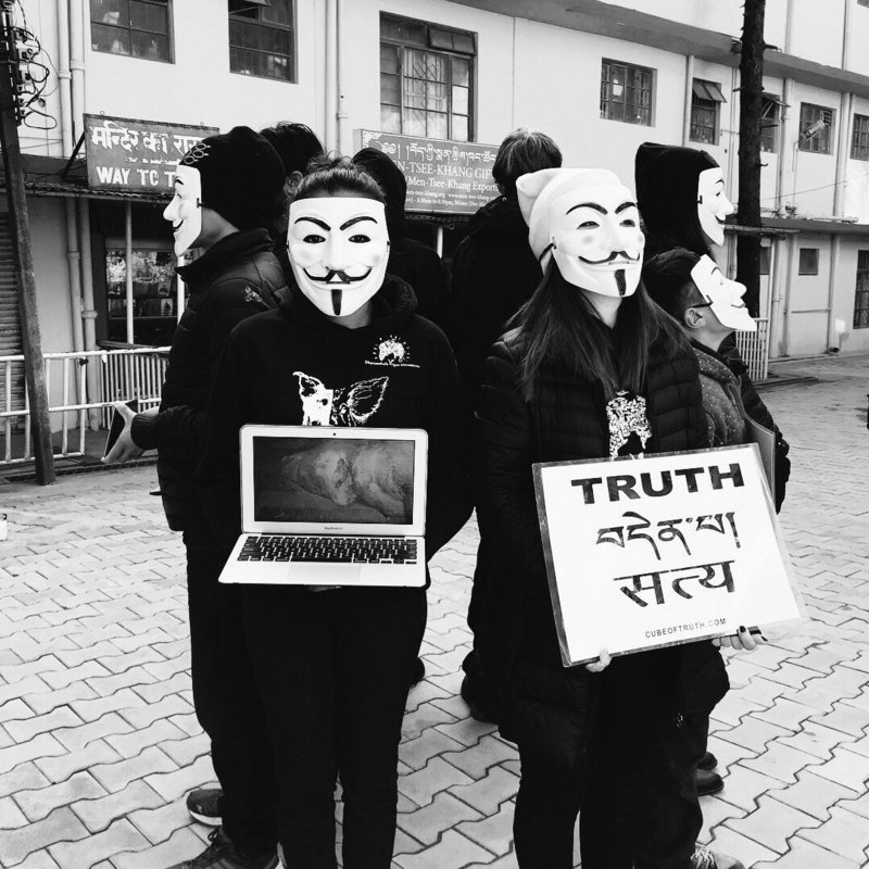 Activism