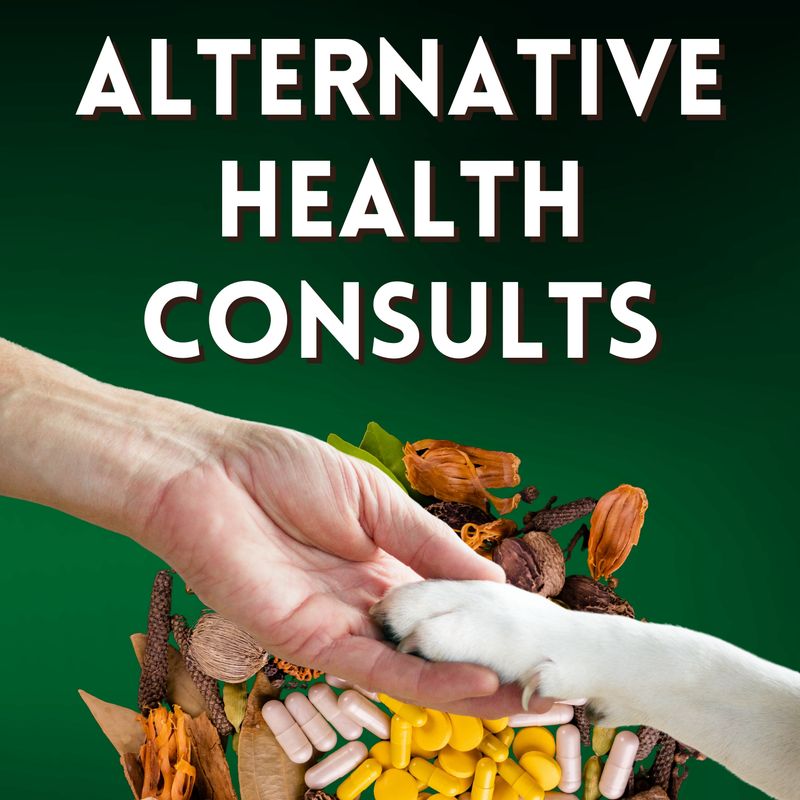 Alternative Health & Herbal Consultation (w/Comprehensive Wellness Blueprint)
