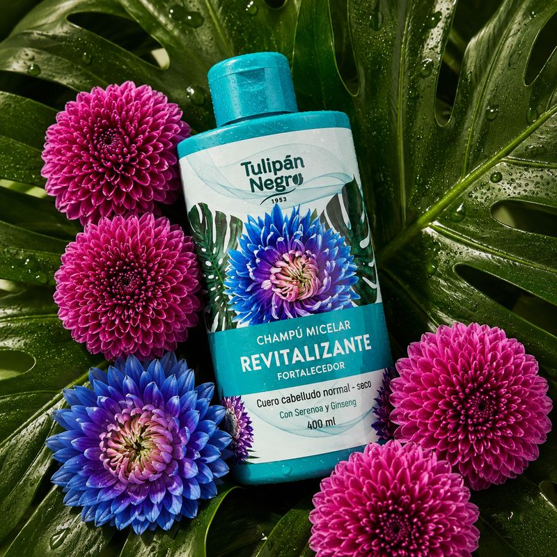 Shampoing Micellaire Revitalisant 400 ml – Tulipán Negro