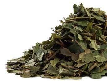 Witch Hazel Leaves, Size: 2 Oz