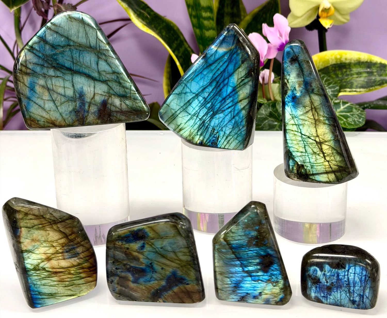 Natural Labradorite Free Form Crystal Healing Energy