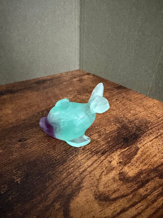 Whale Rainbow Fluorite