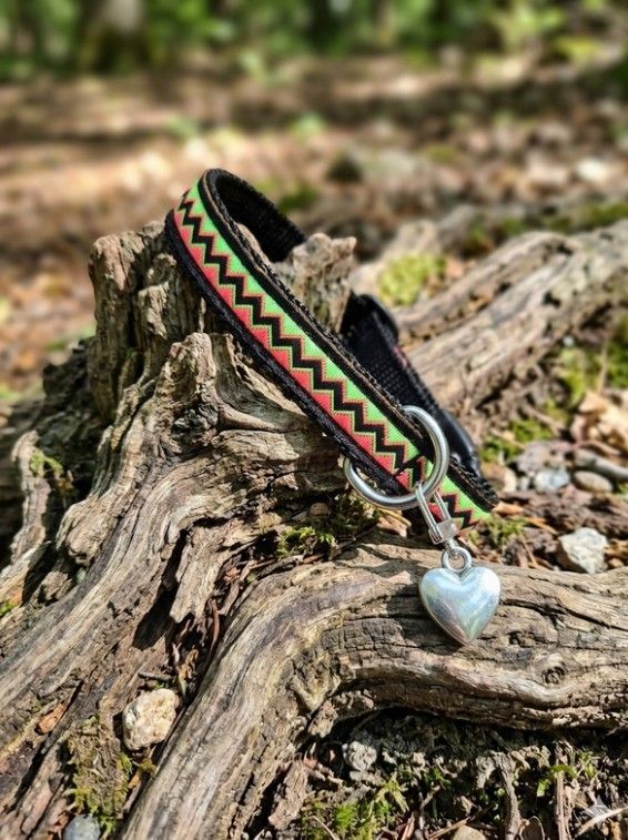 Hundehalsband Milo Hundehalsband Milo