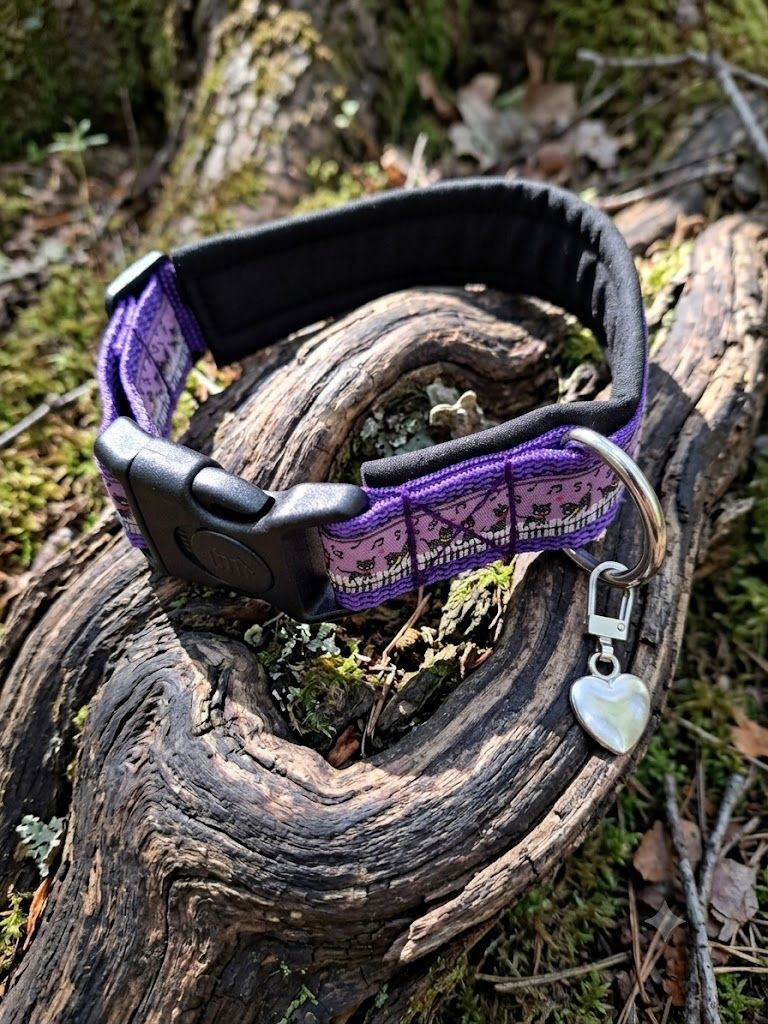 Hundehalsband Cat Hundehalsband Cat