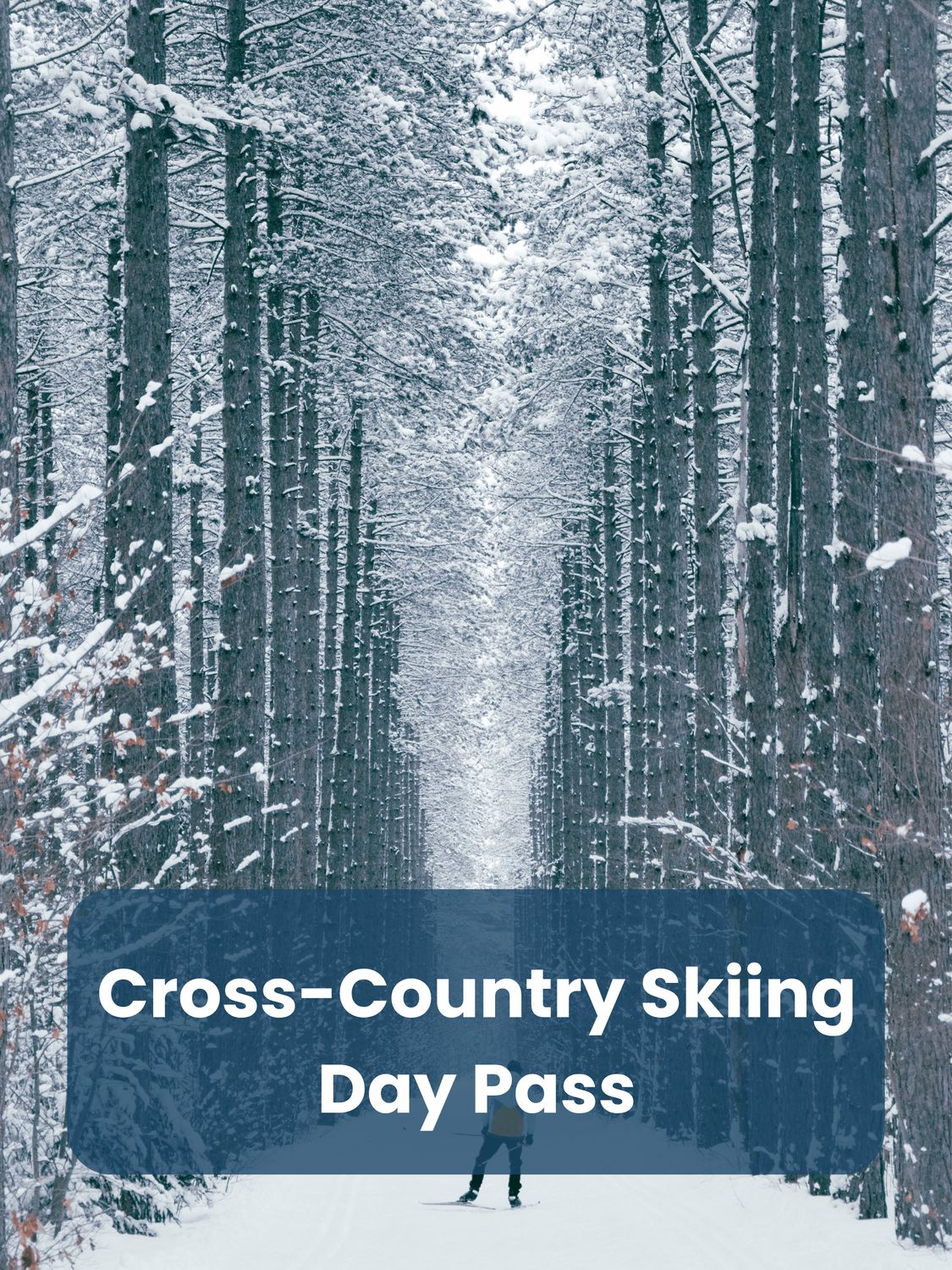 Ski Day Pass