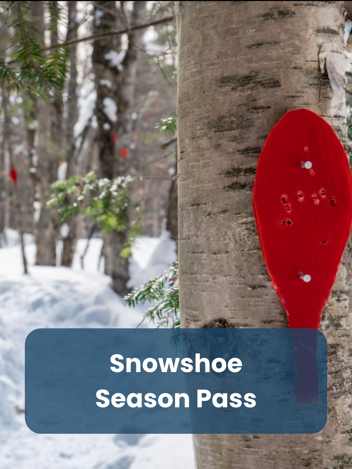 Snowshoe Season Pass