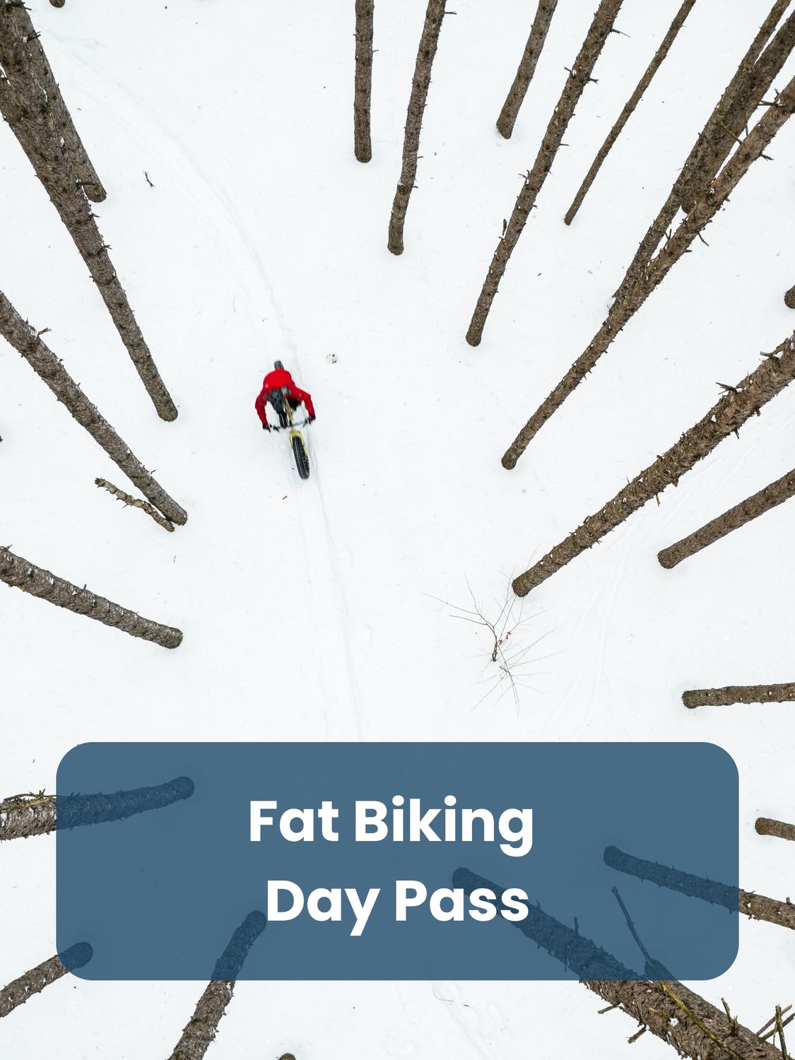 Fat Bike Day Pass