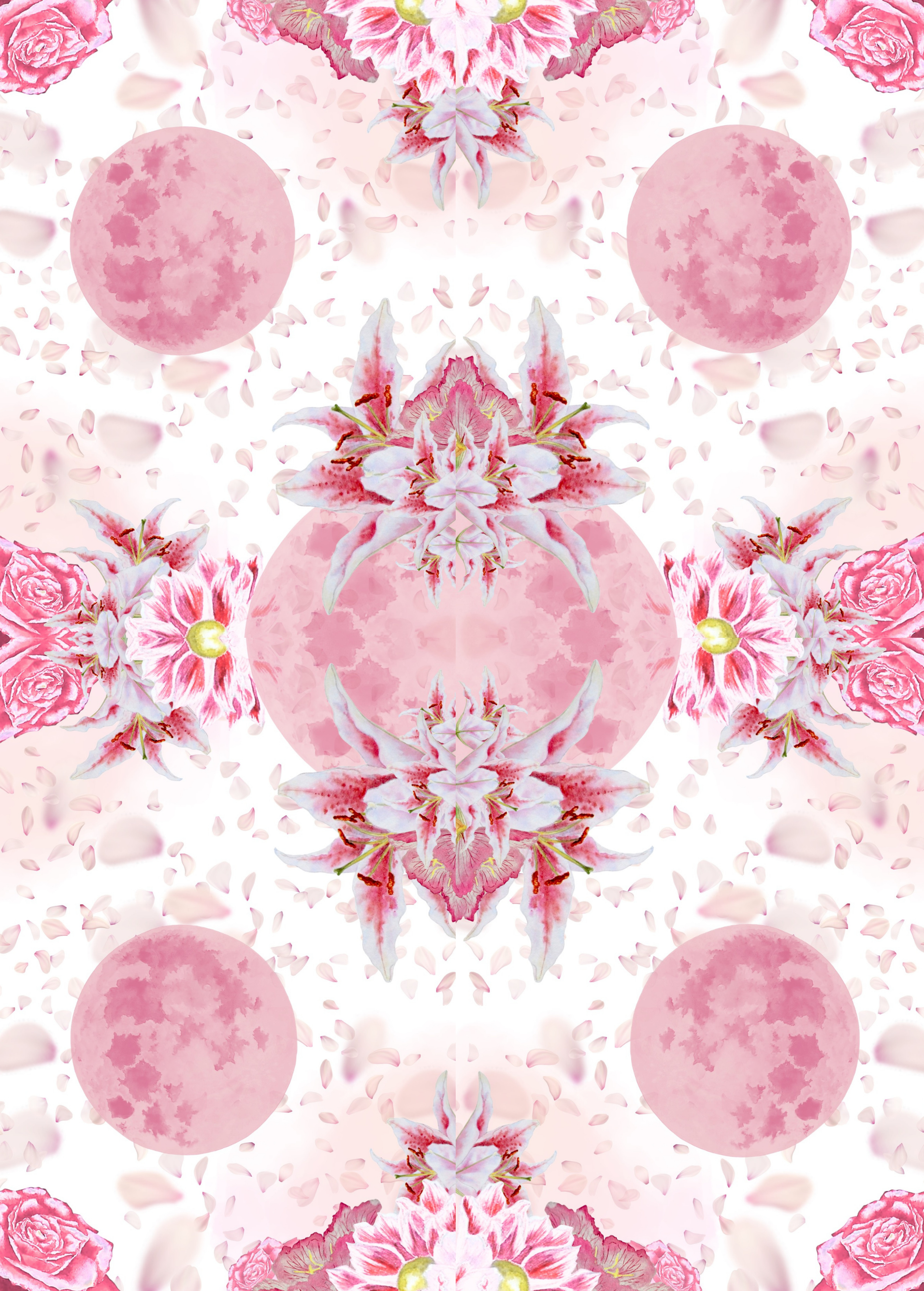 Wrapping Paper