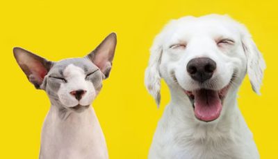 Creating More Joy &amp; Resilience in the Library